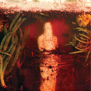 ������ ����� �� Wreck and Reference